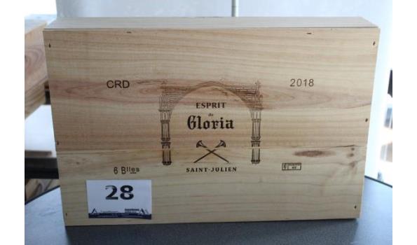 kist inh 6 flessen à 75cl wijn, Esprit de Gloria, Saint-Julien, 2018